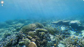 谷歌海景 满足你对海底世界的好奇心