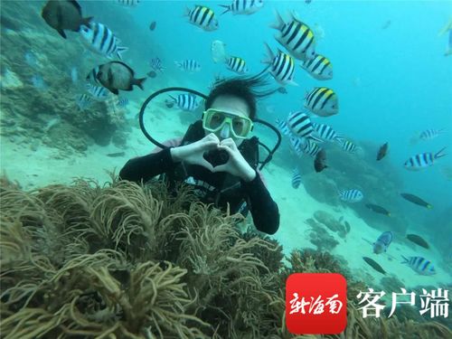 中央媒体看海南 在海棠湾的一天 三亚 双节 旅游见闻