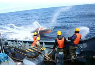 日本捕鲸船扣押护鲸人