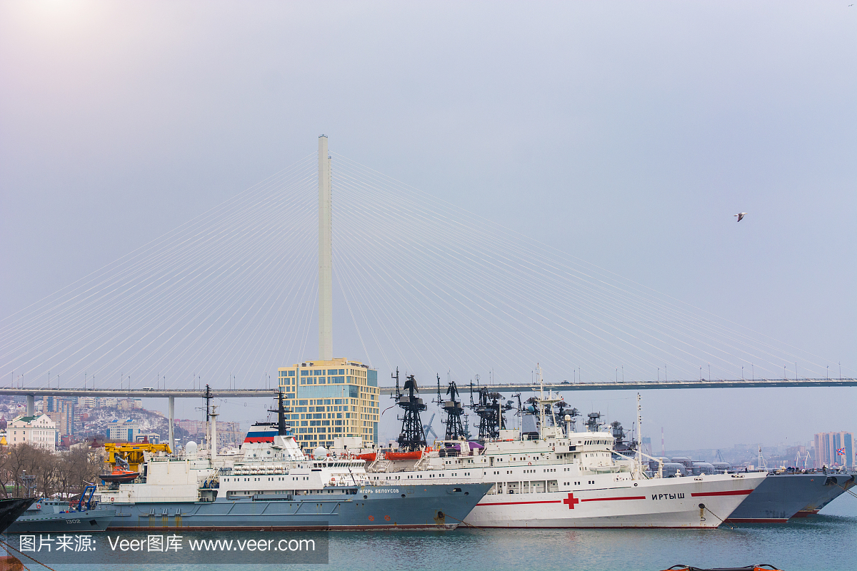 海港里有美丽的船只和起重机,背景是高桥。